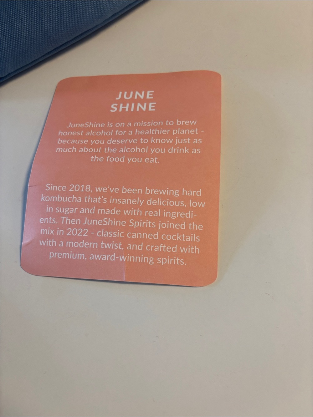 June Shine insulated backpack - Picture 8 of 10